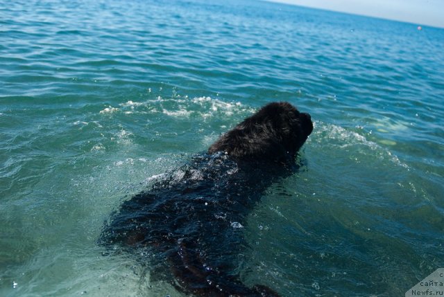 Фотография № 78668