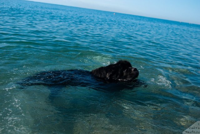 Фотография № 78669