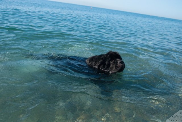 Фотография № 78670