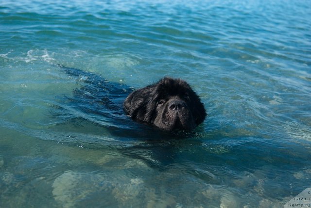 Фотография № 78671