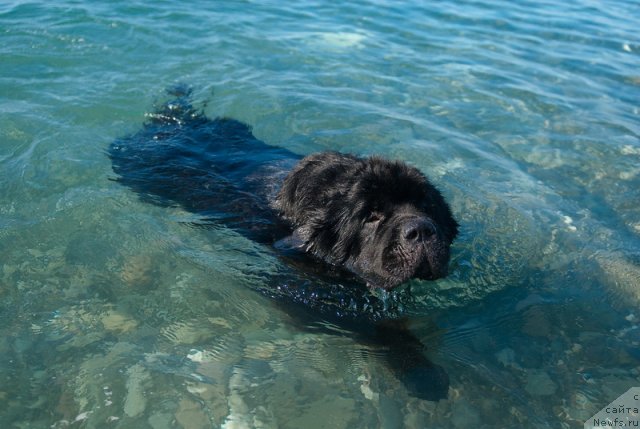 Фотография № 78673