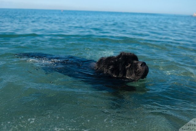 Фотография № 78674