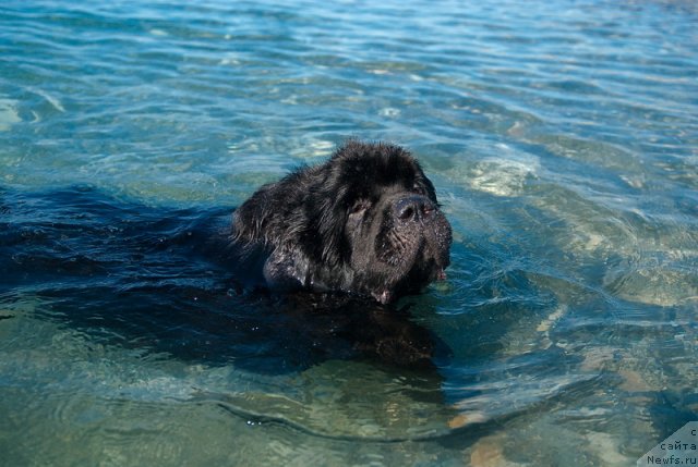 Фотография № 78675