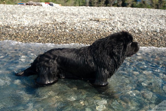 Фотография № 78676