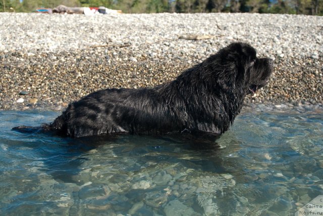 Фотография № 78677