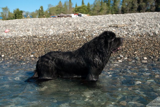 Фотография № 78678