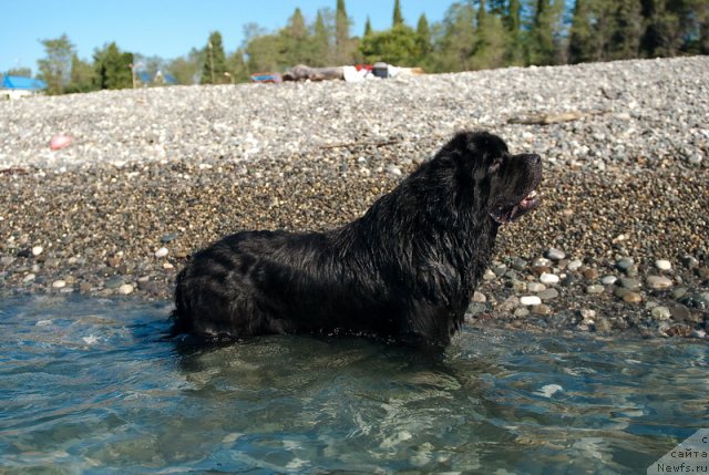 Фотография № 78679