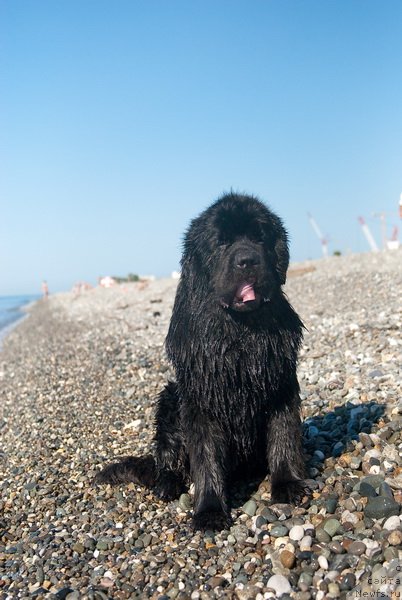 Фотография № 78681