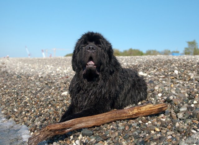 Фотография № 78682