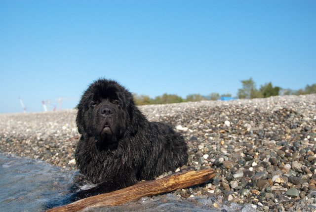 Фотография № 78683