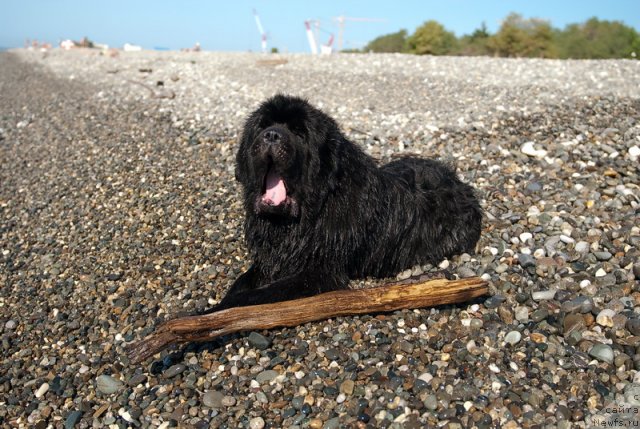 Фотография № 78684