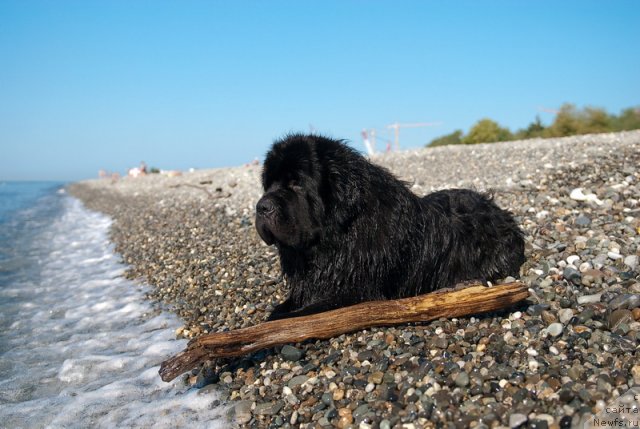 Фотография № 78685