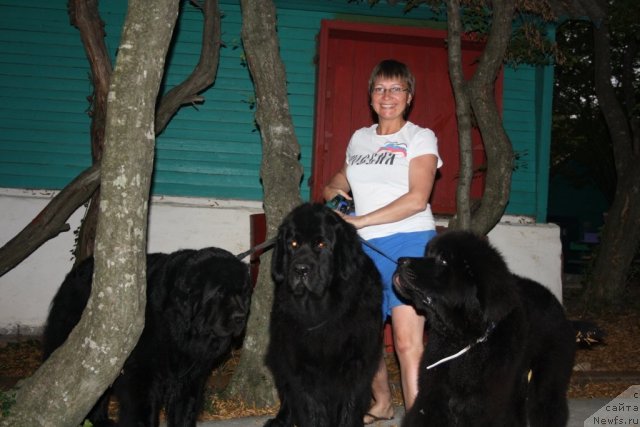 Фотография № 78687