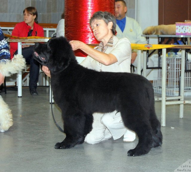 Фотография № 78696