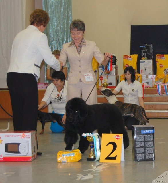 Фотография № 78697