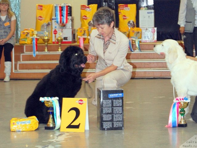 Фотография № 78700