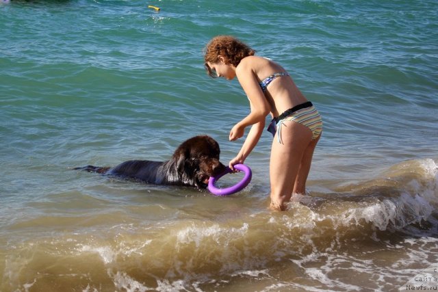 Фотография № 78711