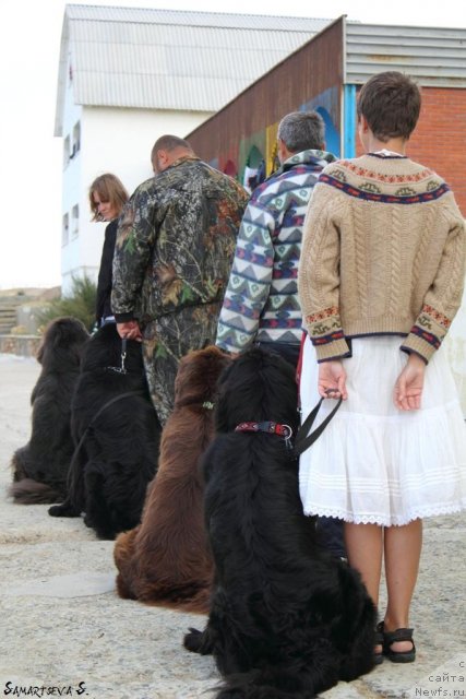 Фотография № 78712