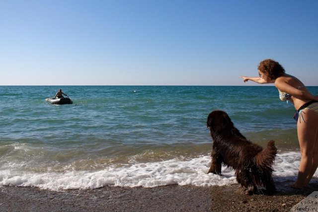 Фотография № 78716