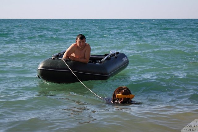 Фотография № 78717