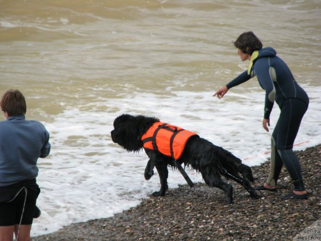 Фотография № 78750