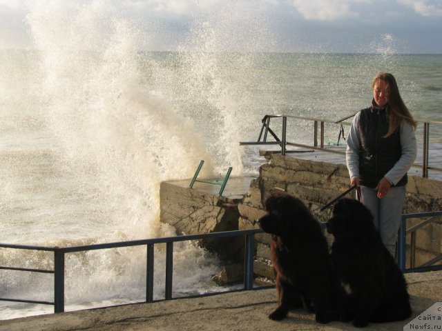 Фотография № 78751