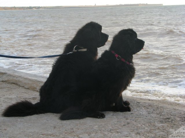 Фотография № 78752