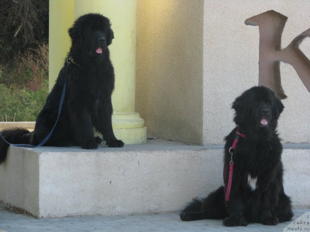 Фотография № 78753