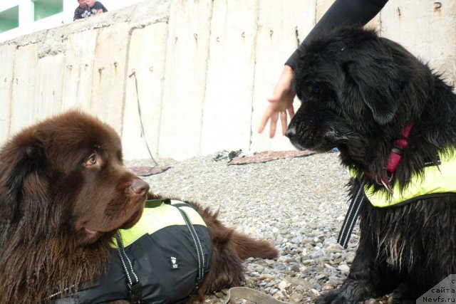 Фотография № 78761