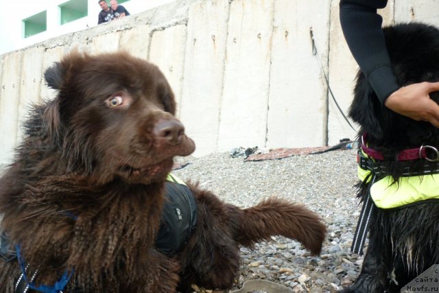 Фотография № 78762