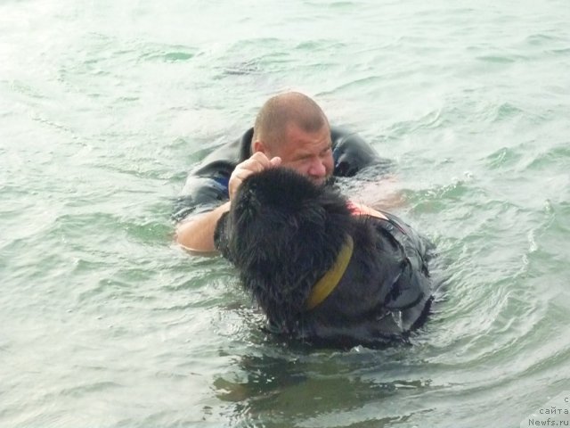 Фотография № 78765