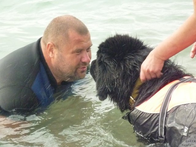 Фотография № 78768