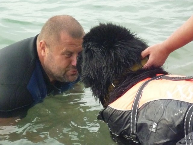 Фотография № 78769