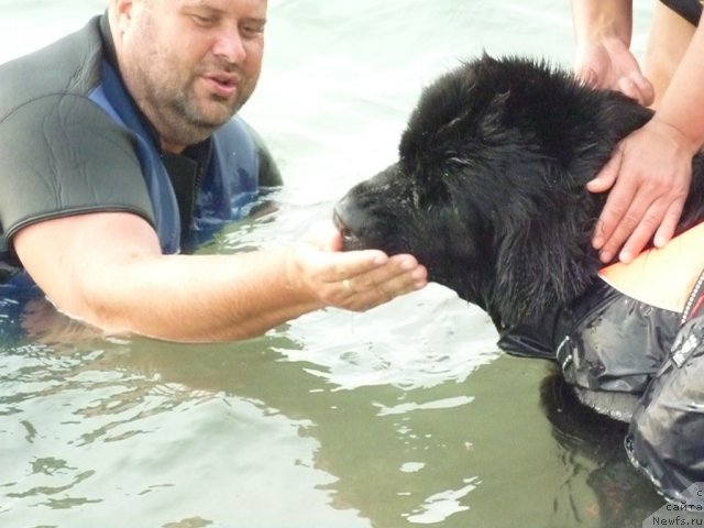 Фотография № 78771