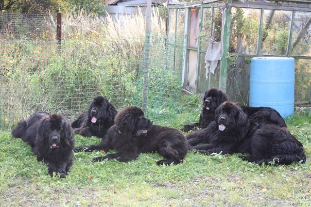 Фото: Nadejda Fedoseeva (Надежда Федосеева)