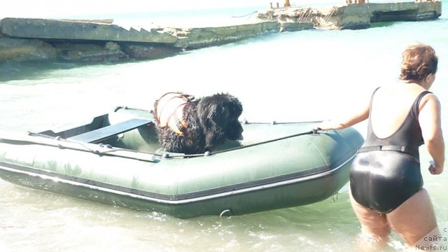 Фотография № 78781