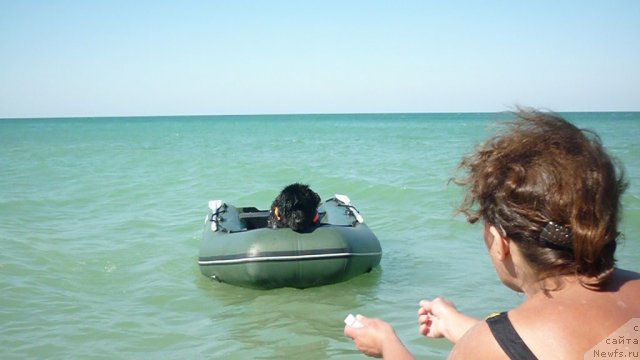 Фотография № 78784