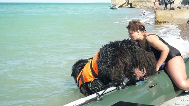 Фотография № 78791