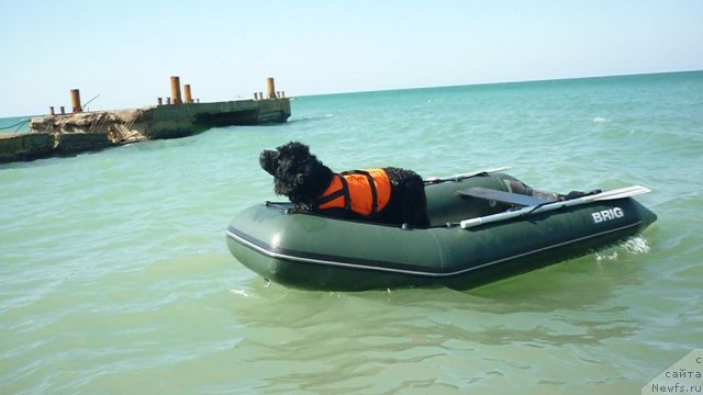 Фотография № 78797