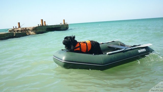 Фотография № 78798