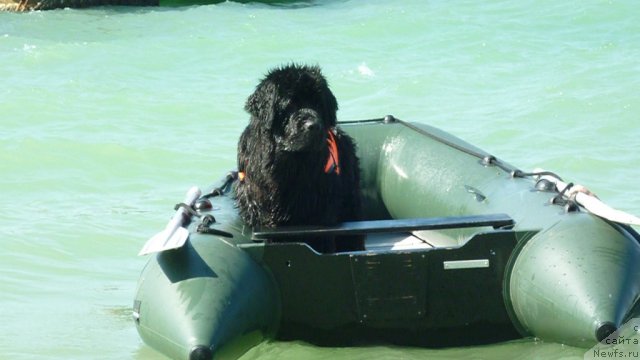 Фотография № 78799