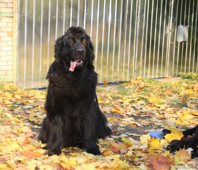 Фотография № 78808