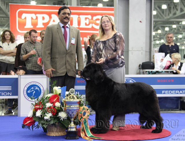 Фотография № 78812