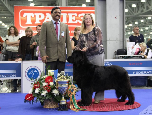 Фотография № 78813