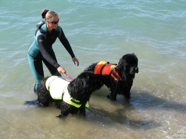 Фотография № 78831