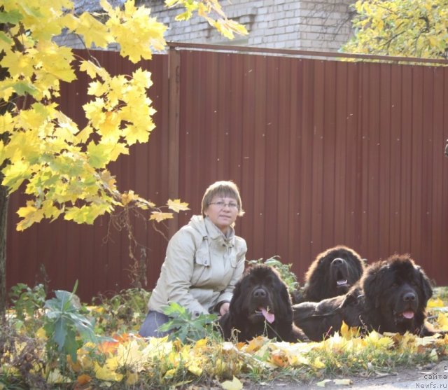 Фото: Elena Kuz'mina (Елена Кузьмина), ньюфаундленд Fortuna of Giant's Island, ньюфаундленд Gloriya Grand Blek (Глория Гранд Блек), ньюфаундленд Beguschaya po Volnam Zero Kool (Бегущая по Волнам Зеро Коол)