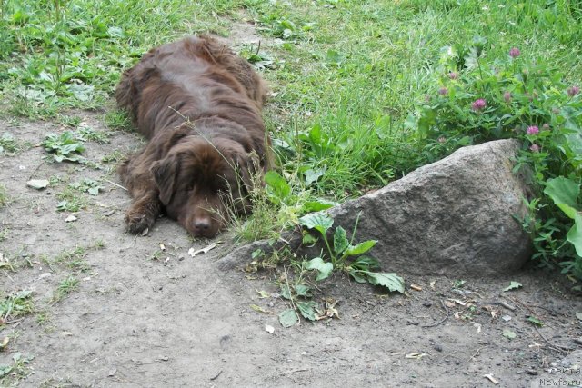 Фотография № 78862