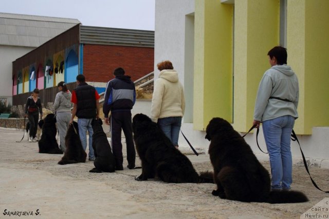 Фотография № 78882