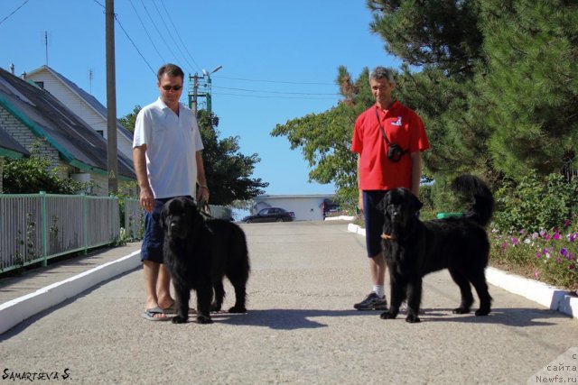 Фото: Гена и Шериф, Andrey Koshkid'ko (Андрей Кошкидько), ньюфаундленд YUnona (Юнона)