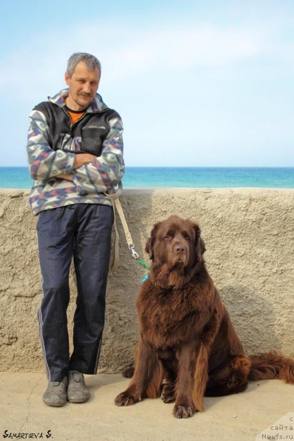 Фотография № 78887